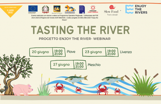“Tasting the Rivers” 3 webinar sull’enogastronomia di Piave, Livenza e Meschio